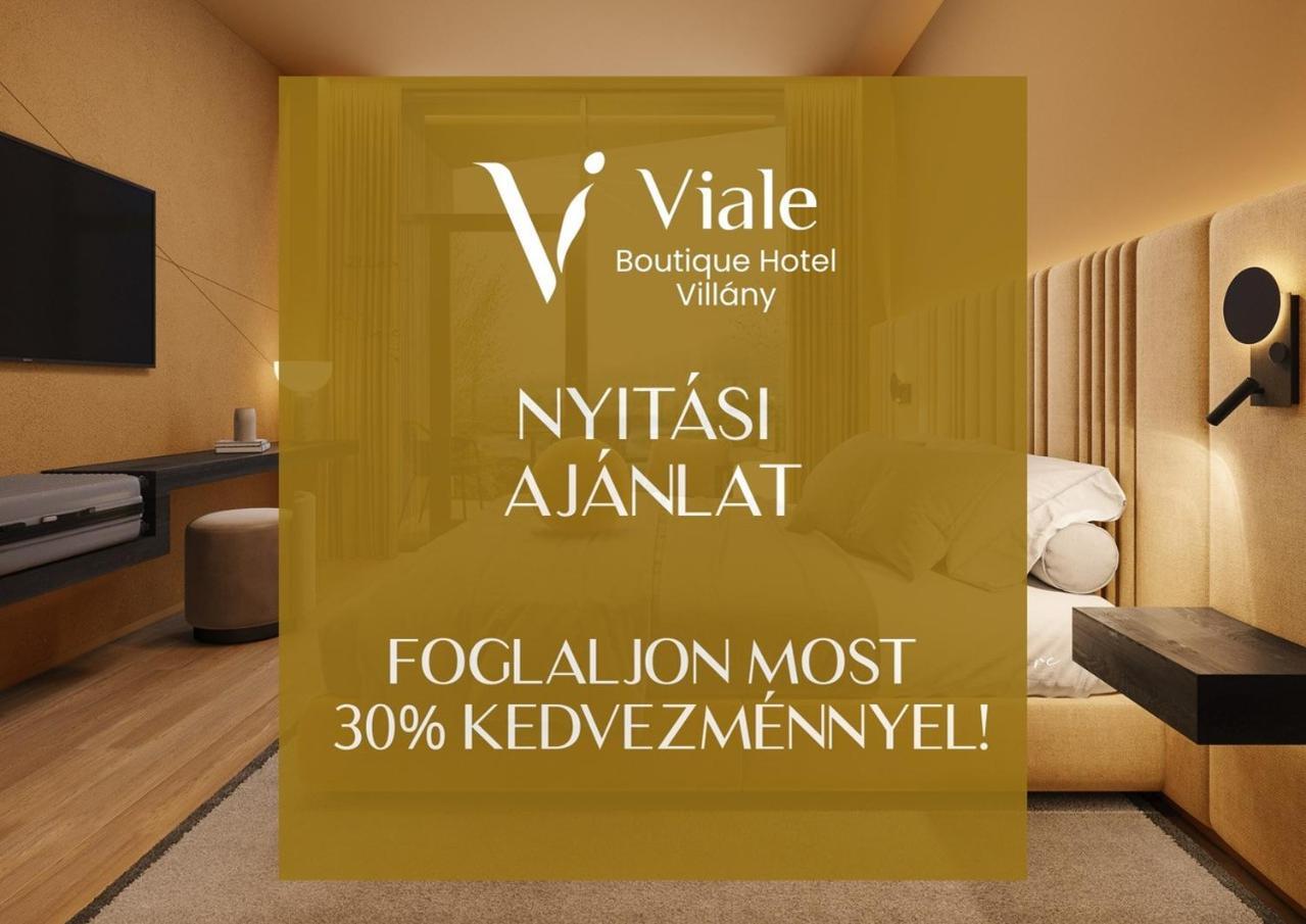 Viale Boutique Hotel Villany Exterior photo